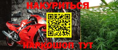 шишки Апшеронск